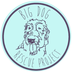 Big Dog Rescue Project Logo