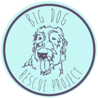 Big Dog Rescue Project Inc logo